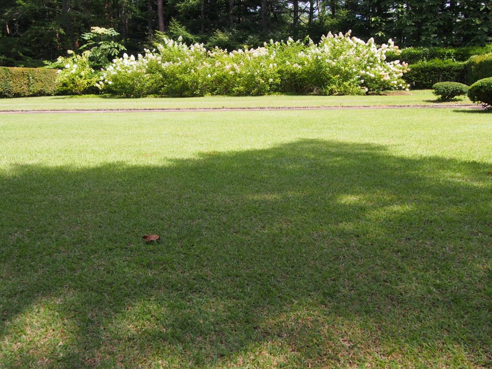 富士吉田　恩賜林庭園