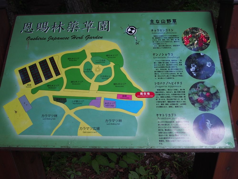 薬草庭園