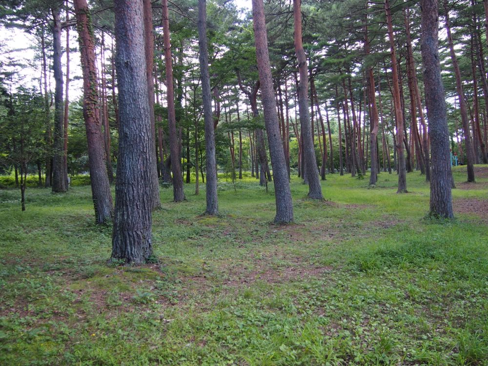 富士吉田　恩賜林庭園