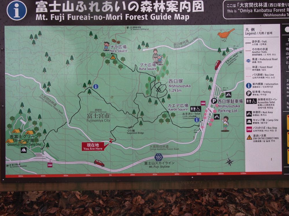 ハイキングコース地図