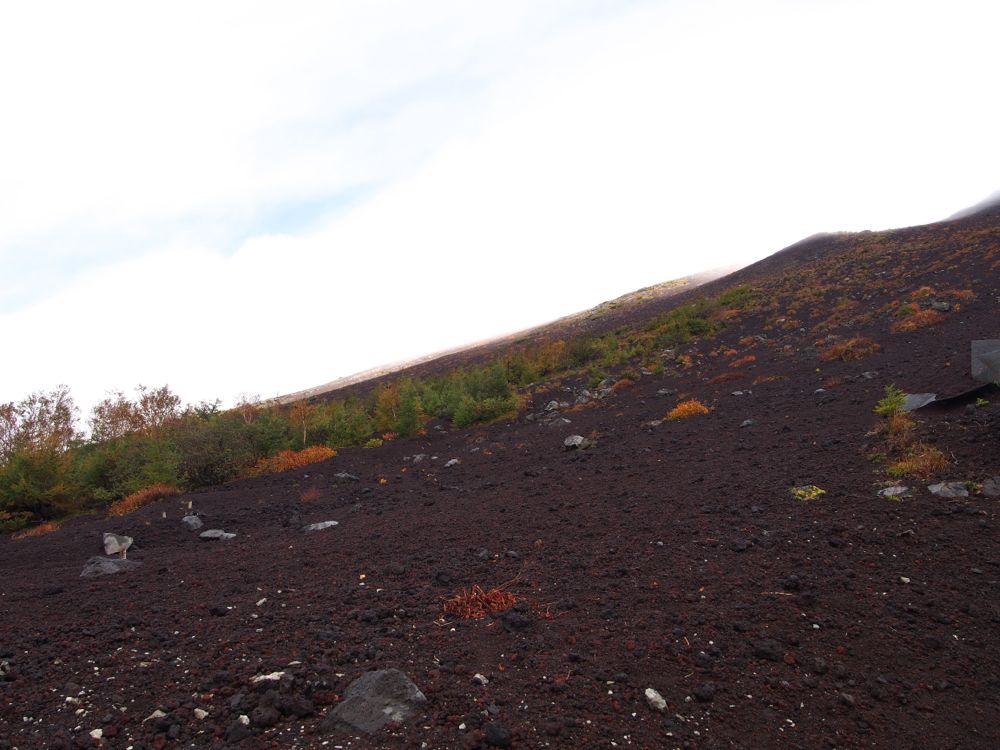 富士山5合目紅葉