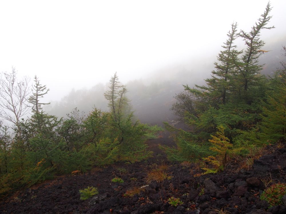 富士山5合目紅葉