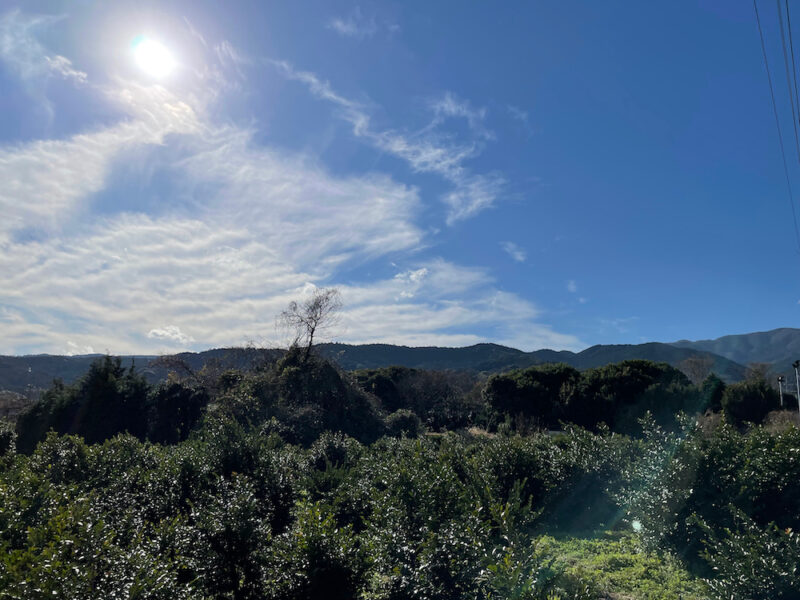 箱根の山