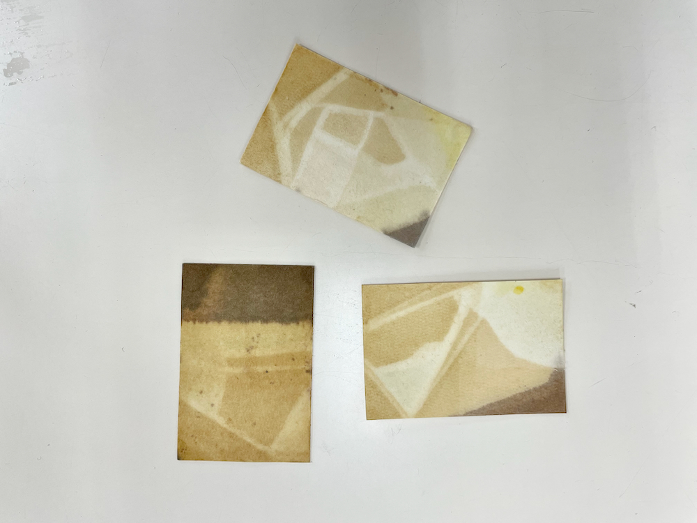 草木染めワークショップ